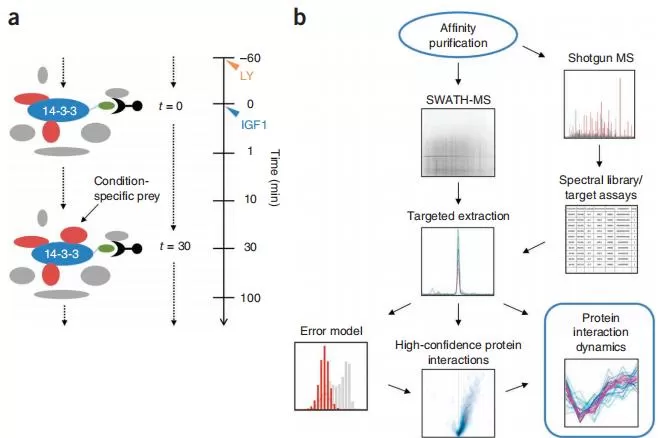 DIA-vs-DDA-Mass-Spectrometry-A-Comprehensive-Comparison