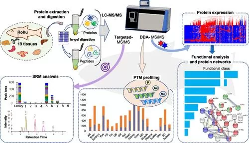 DIA-vs-DDA-Mass-Spectrometry-A-Comprehensive-Comparison