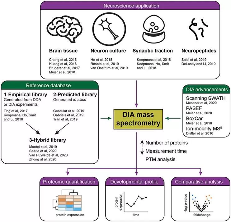 DIA-vs-DDA-Mass-Spectrometry-A-Comprehensive-Comparison