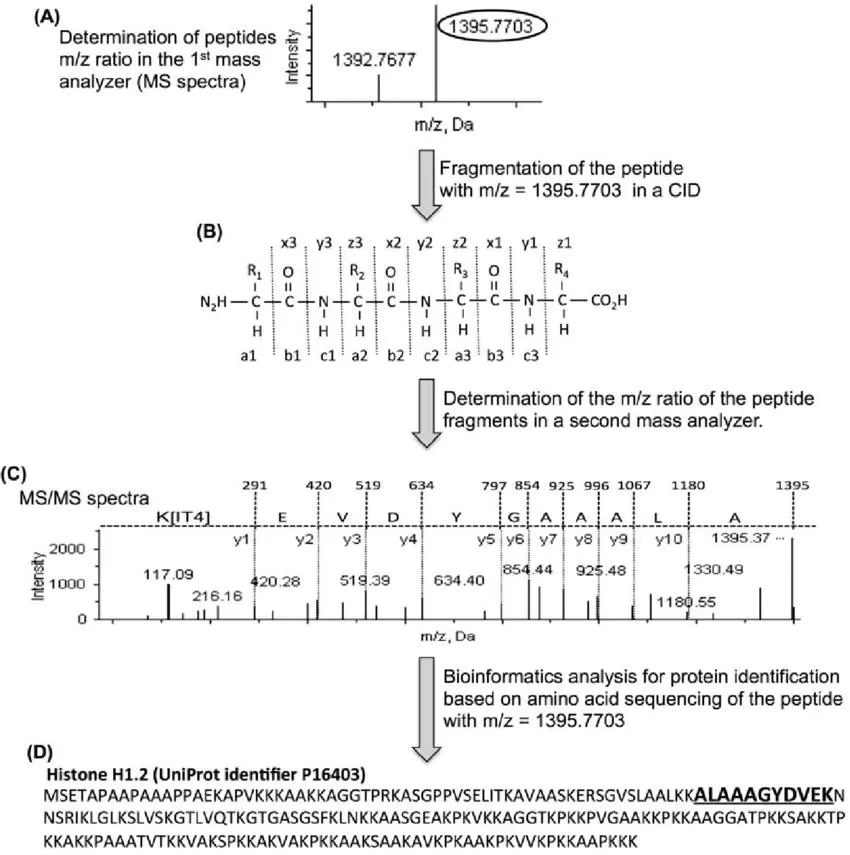 protein-sequencing-significance-methods-and-applications