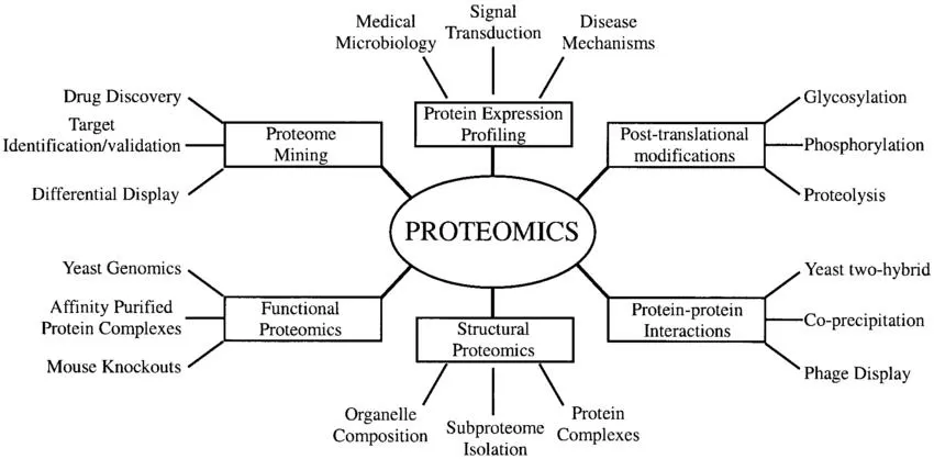 Types of proteomics and their applications to biology (Graves et al., 2002).