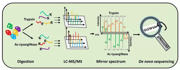 The process of peptide de novo sequencing by mass spectrometry