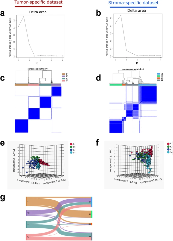 Identification of tumor- and stroma-specific subtypes and their association with molecular features