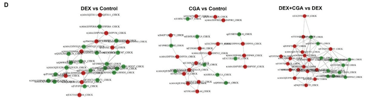 Analysis of proteomics, metabolomics and experimental validation1