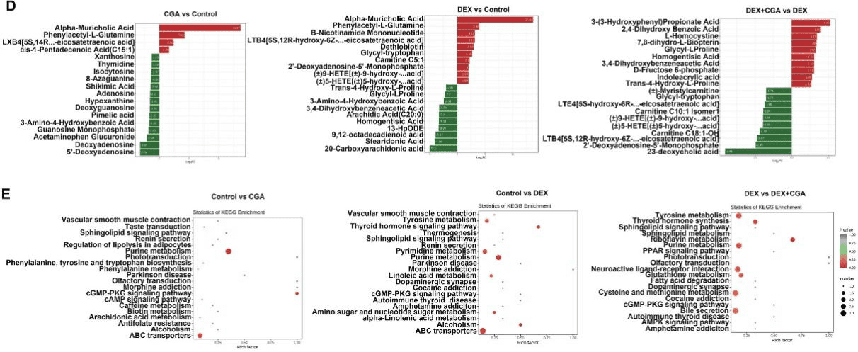 Analysis of proteomics, metabolomics and experimental validation2