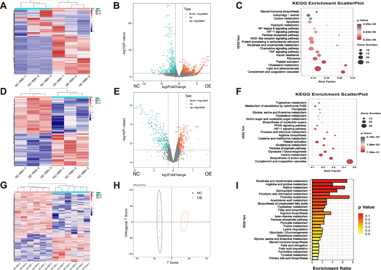 Muti-omics data indicates that gp78 regulates lipid remodeling and ferroptosis